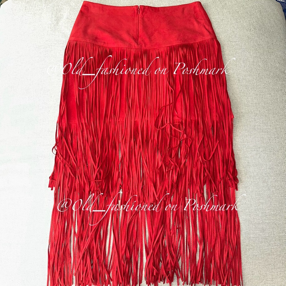 ZARA Suede Fringe Midi Skirt - Price Firm - Picture 11 of 13